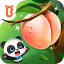 文班复出32+12+8比肩姚明！马刺复仇黄蜂巩固第二 克努佩尔20+6